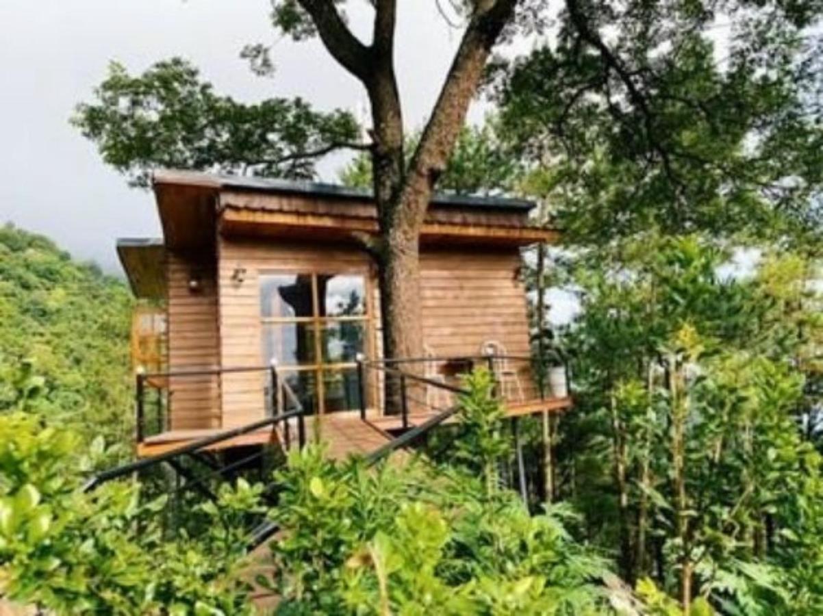 Chillout Village - Homestay Tam Dao 河内 外观 照片